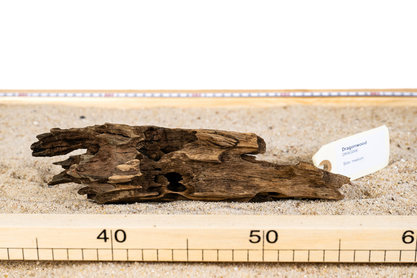 Dragonwood - DRAG006