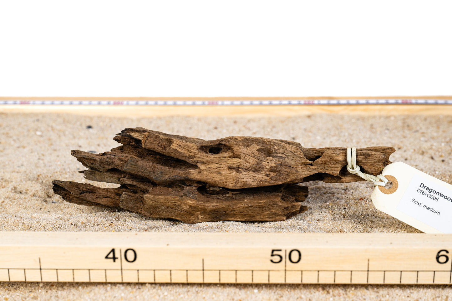 Dragonwood - DRAG006