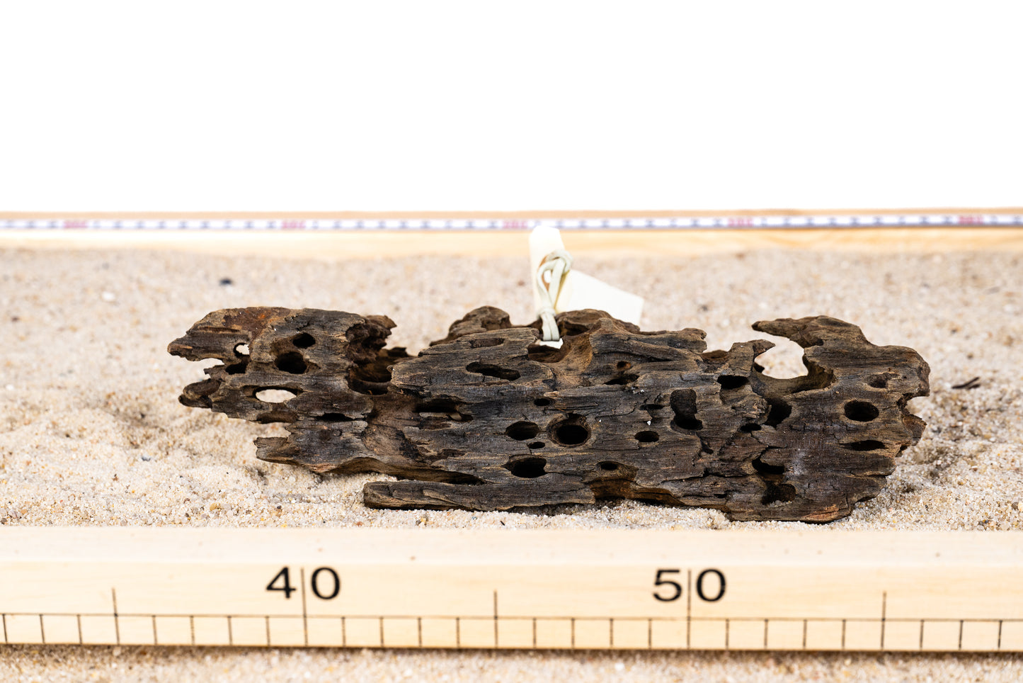 Dragonwood - DRAG010