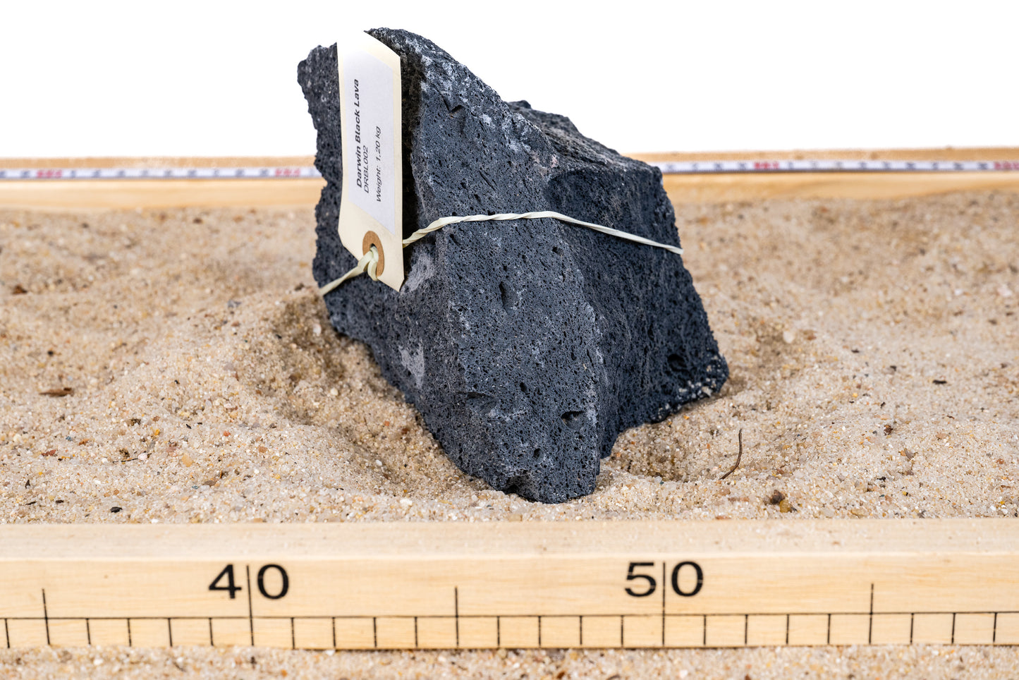 Darwin Black Lavasteen - DRBL002