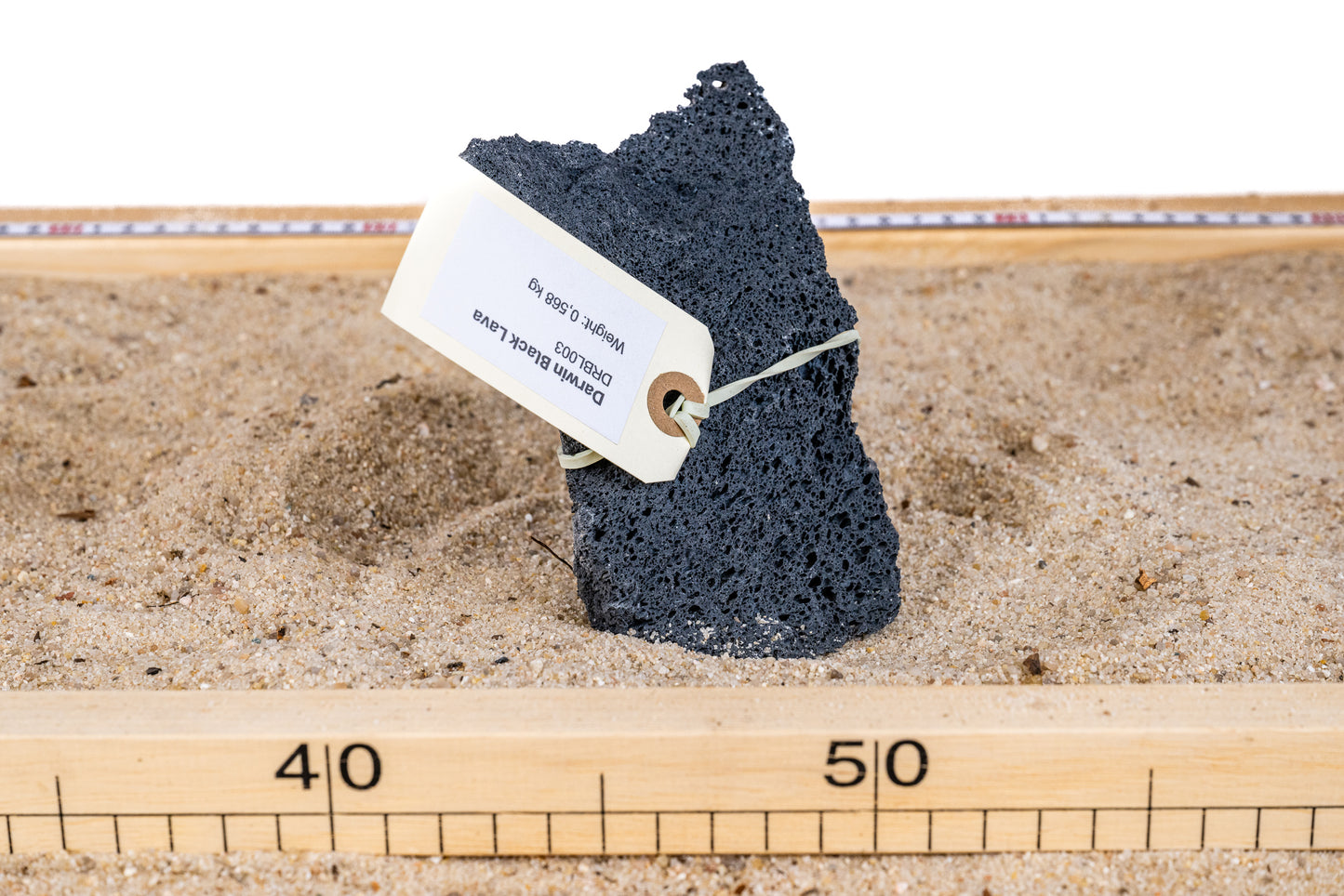 Darwin Black Lavasteen - DRBL003