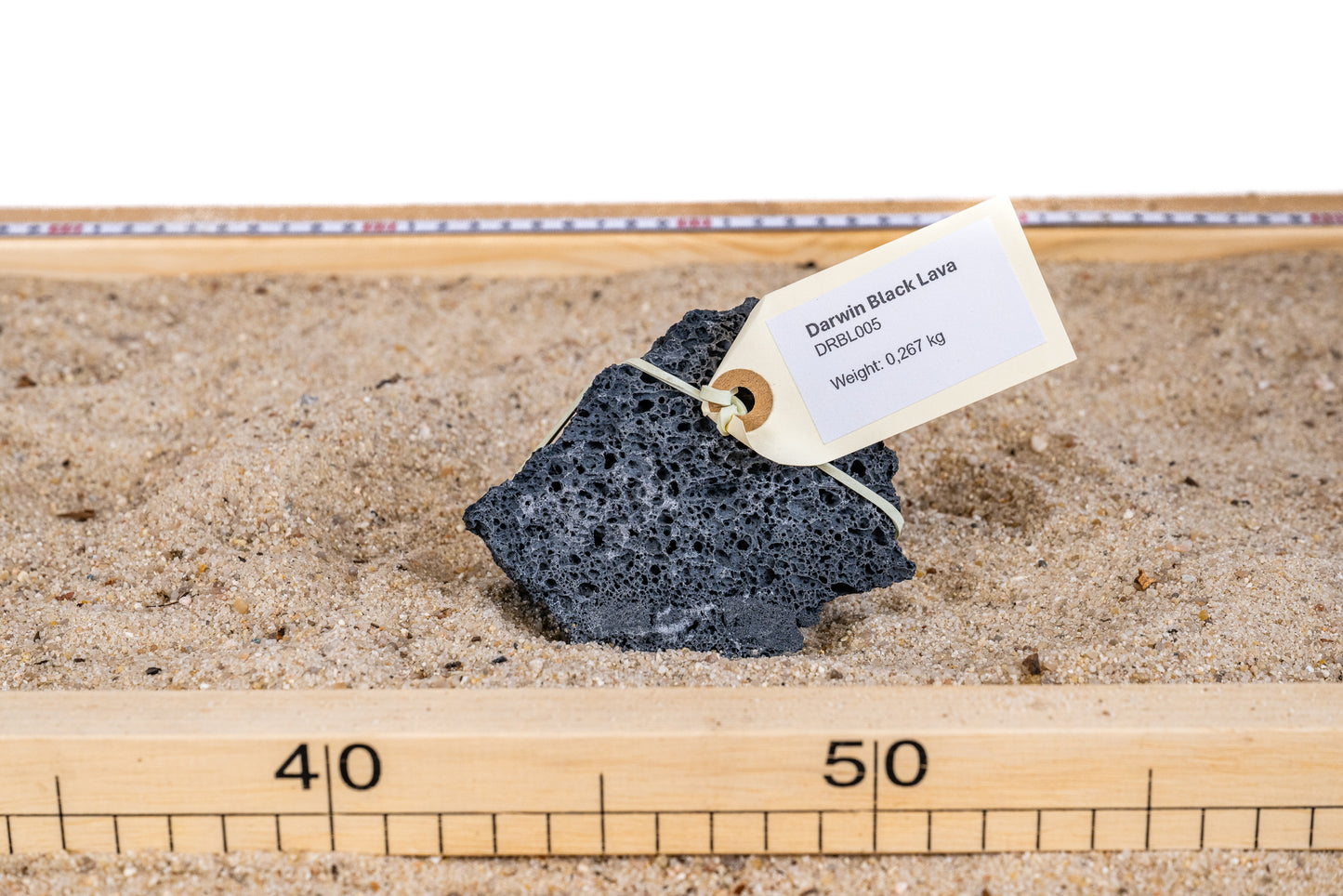 Darwin Black Lavasteen - DRBL005