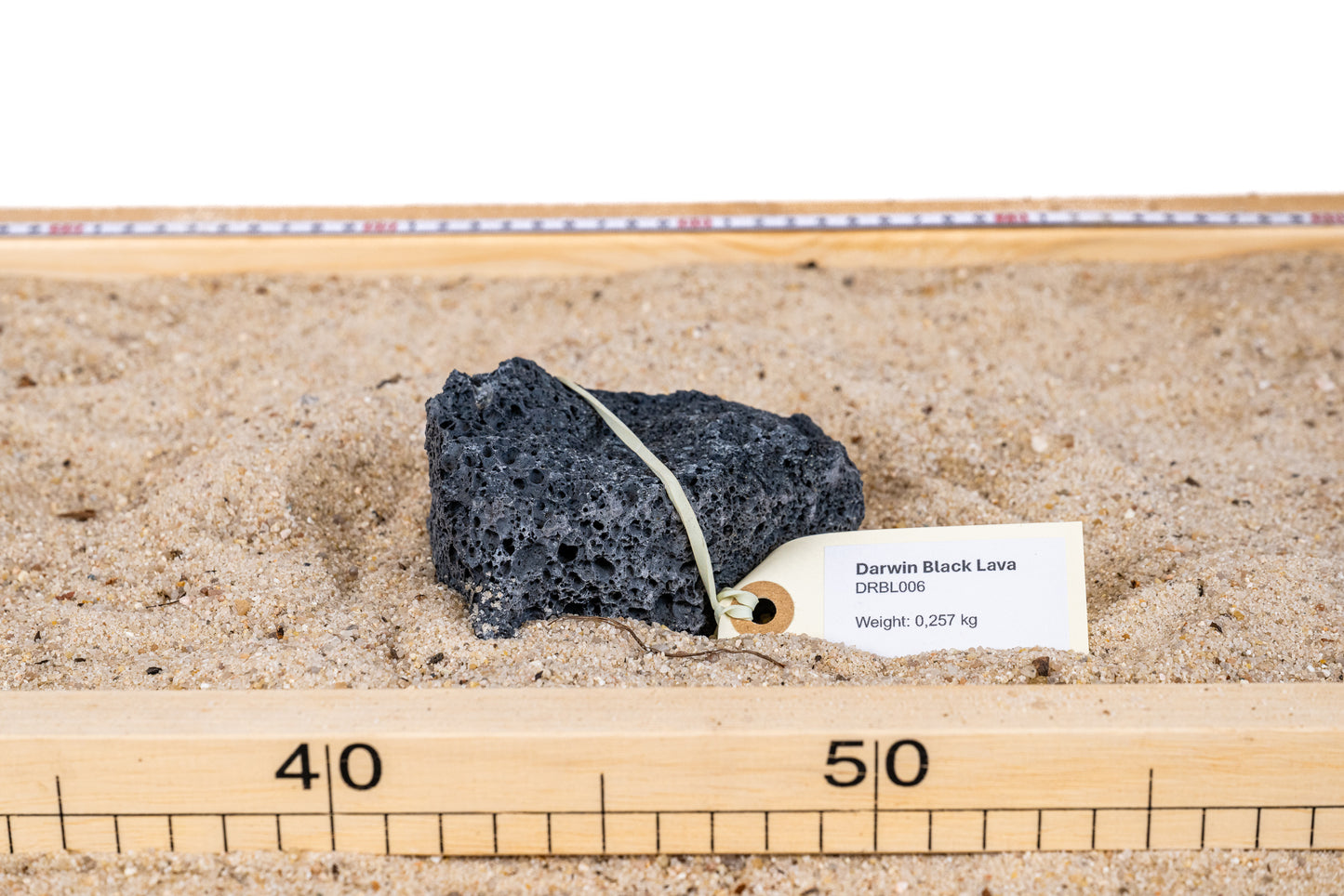 Darwin Black Lavasteen - DRBL006