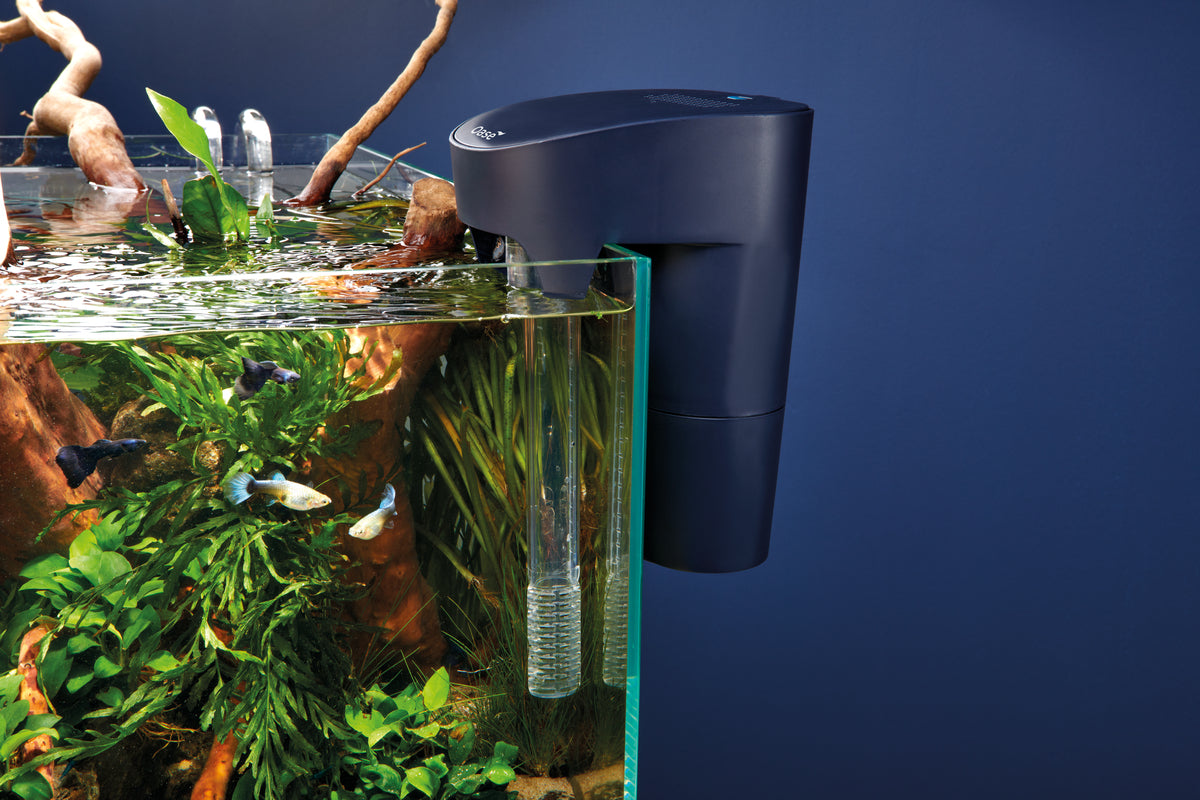 BioStyle 75