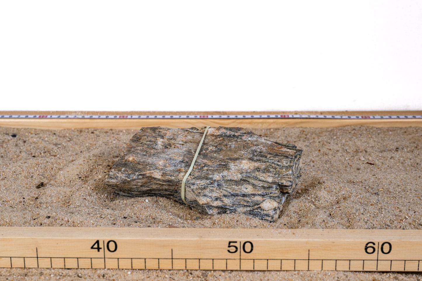 Grey Fossil Wood - GRFW003