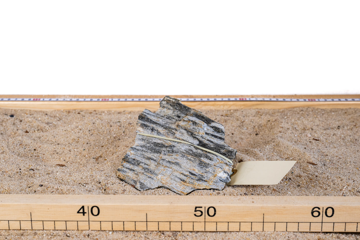 Grey Fossil Wood - GRFW006