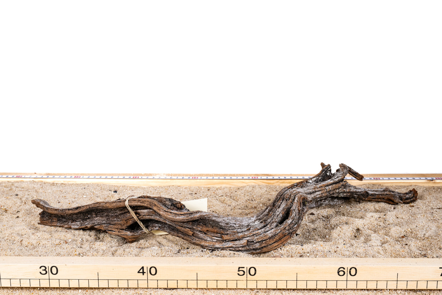Manzanita - MANZ023
