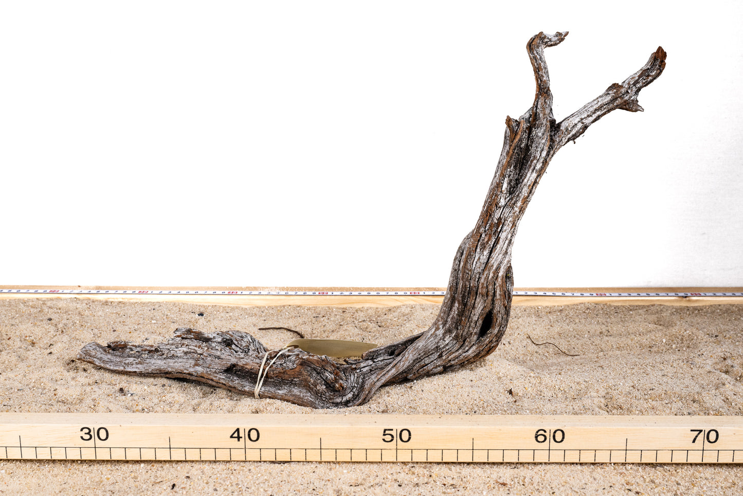 Manzanita - MANZ023