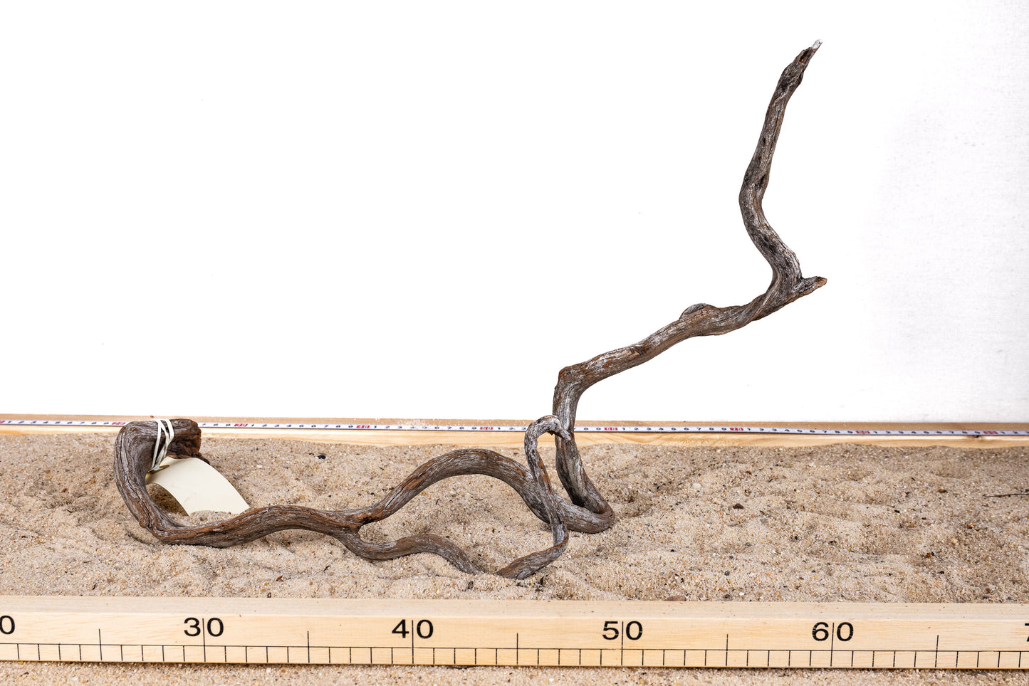 Manzanita - MANZ025