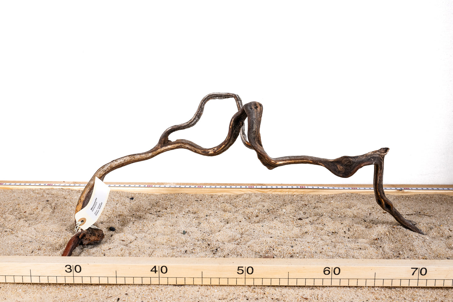 Manzanita - MANZ025