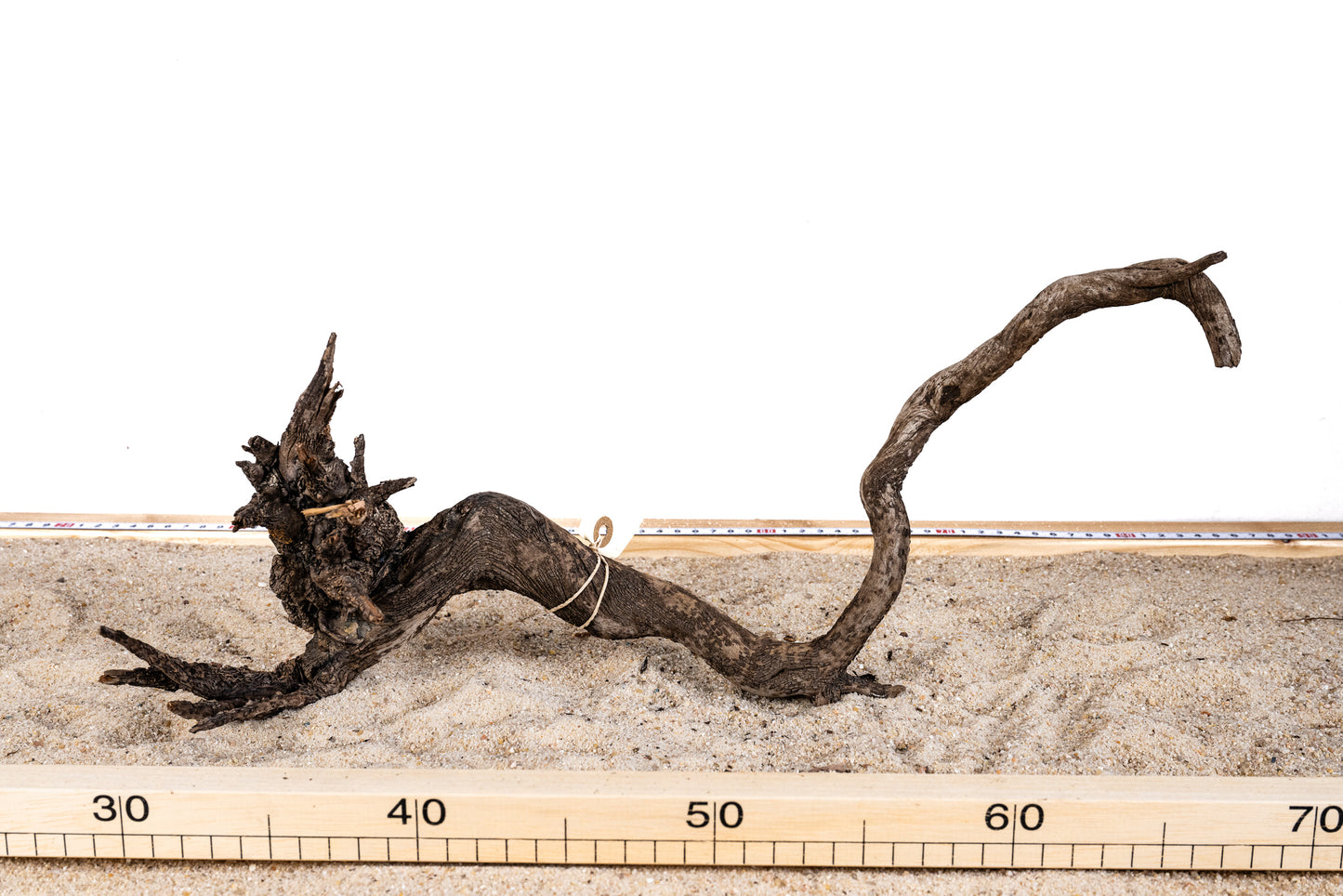 Striped wood - STRW008