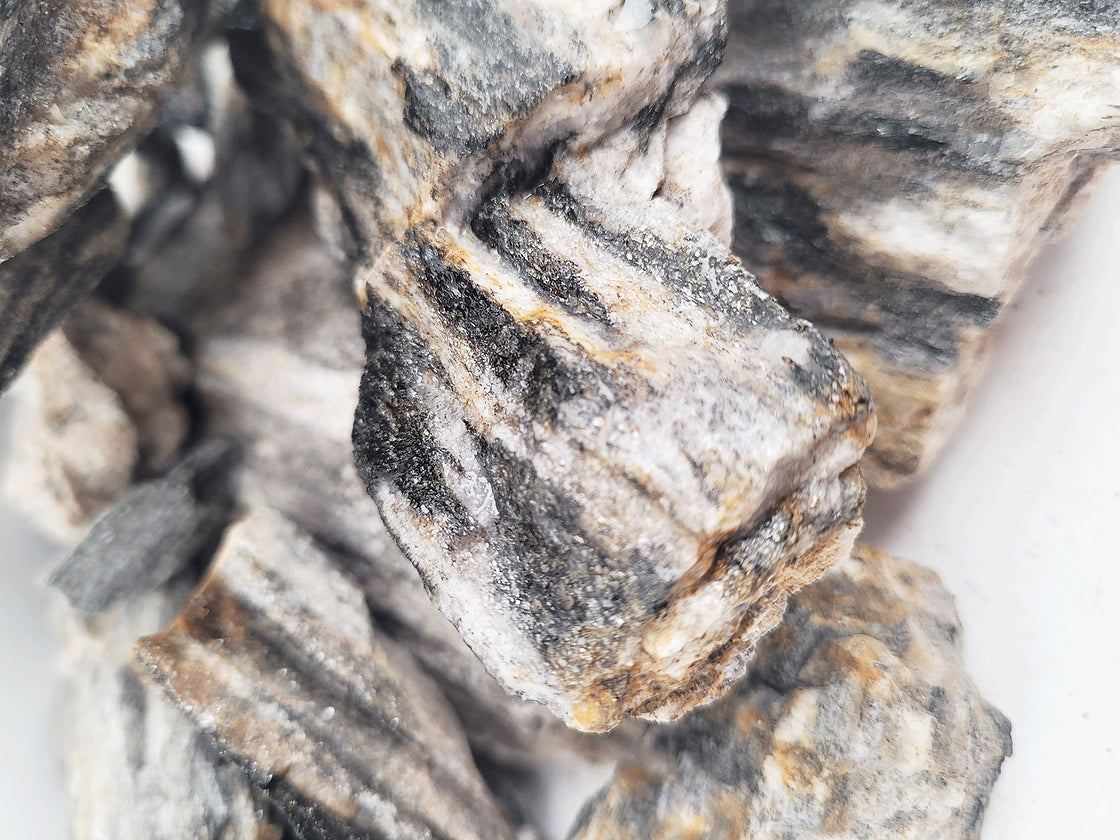 Grey Fossil Wood Nano Rock