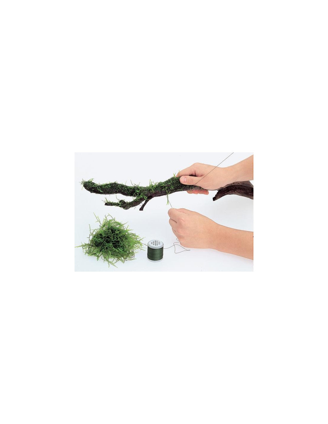 Moss Cotton
