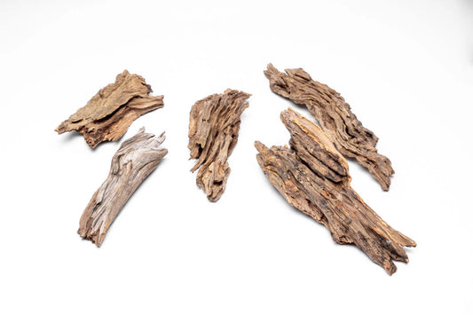 Forest driftwood