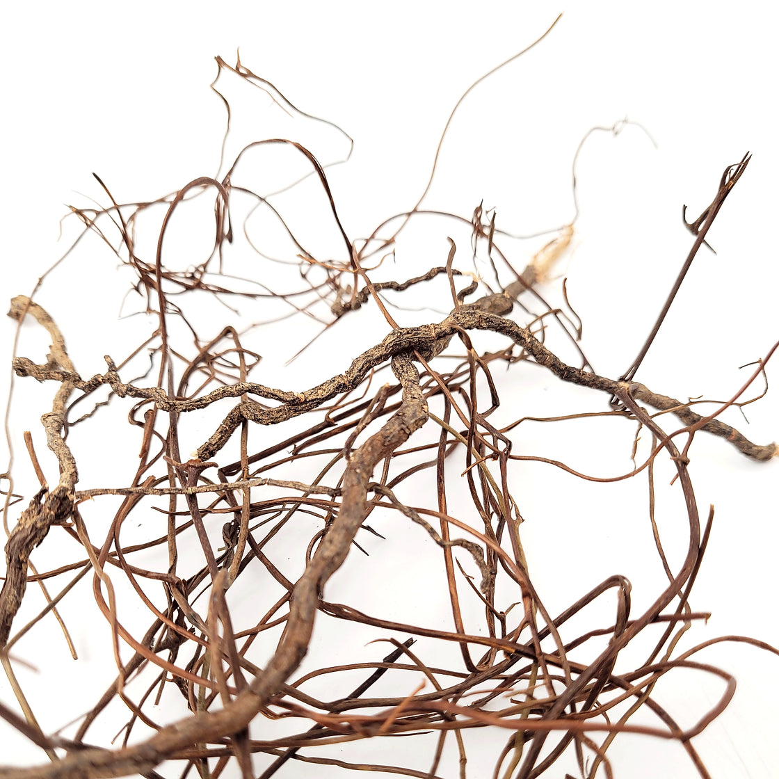 Mini Roots
