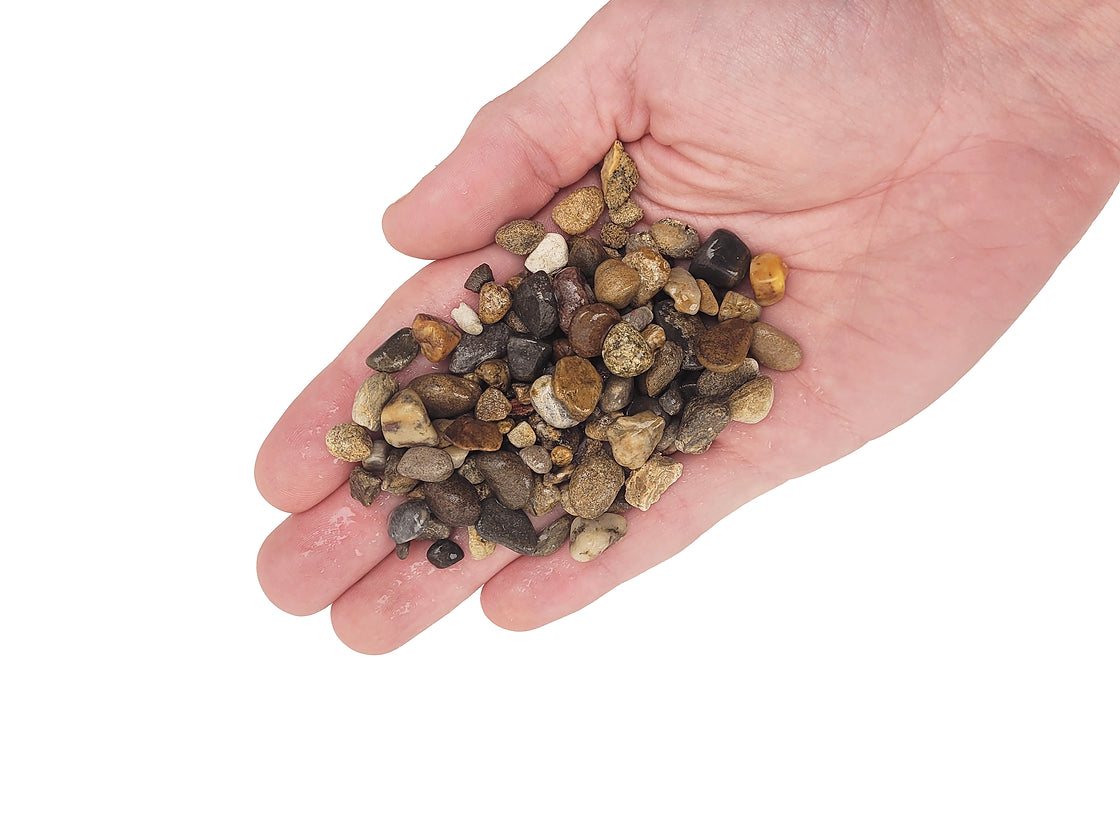 Elderly Gravel