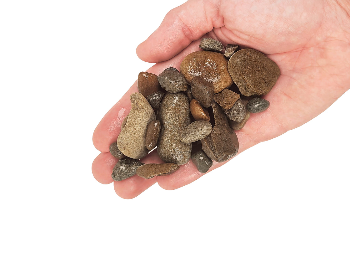 Elderly Gravel