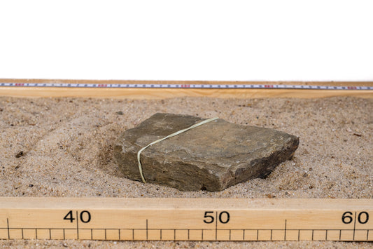 Bumblebee stone - BUMB006