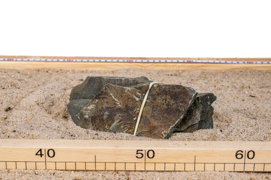 Bumblebee stone - BUMB008
