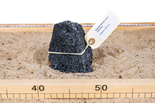 Darwin Black Lavasteen - DRBL006