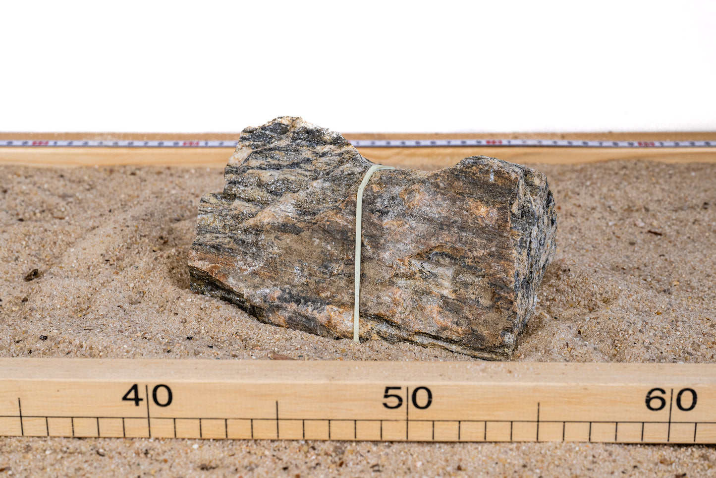 Grey Fossil Wood - GRFW003