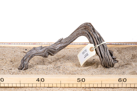 Manzanita - MANZ013
