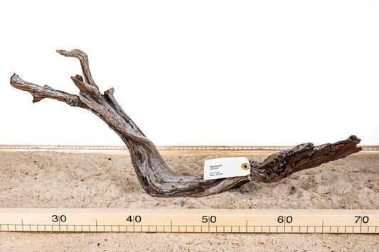 Manzanita - MANZ023