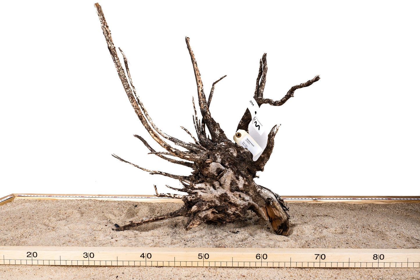 Striped wood - STRW011